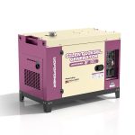 Air-Cooled Generator (HDG12000SE)