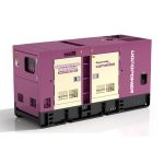 Diesel Generator Set (PPW-100)