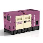 Diesel Generator Set (PPW-20)