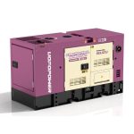 Diesel Generator Set (PPW-24)