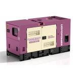 Diesel Generator Set (PPW-36)